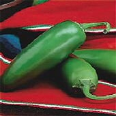 Compadre Hot Peppers HP2036-10