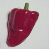 Guillin Hot Peppers HP1054-10_Base