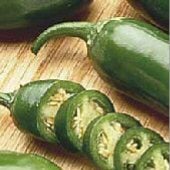 Jalapeno Hot Peppers HP1858-20