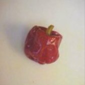 Jamaican Red Hot Peppers (Strain 1) HP618-10_Base