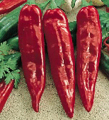NuMex Mesa Hot Peppers HP2192-20_Base