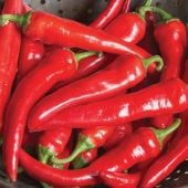 Red Ember Hot Peppers HP2459-10