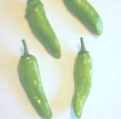 Robustini Hot Peppers HP1158-20_Base