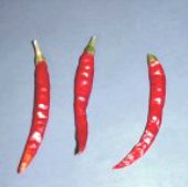 Unnan Hot Peppers HP1063-20
