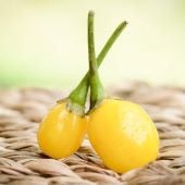 Wiri Wiri Hot Peppers (Yellow) HP2398-10