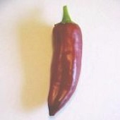 Zia Pueblo Mix Hot Peppers HP1101-10
