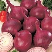Red Burgundy Onions ON7-500_Base