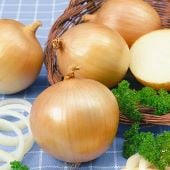 Yellow Granex Onions ON15-100