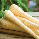 Hollow Crown Parsnip Seeds PS3-100_Base