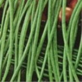 Asparagus Yard Long Pole Beans (Black Seeded) BN1-25