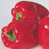 Red Sweet Peppers