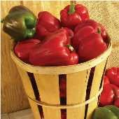 Alliance Sweet Peppers SP348-20
