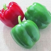 Bell Boy Supreme Sweet Peppers SP8-20