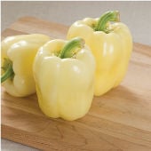 White Sweet Peppers
