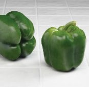 TSWV - Tomato Spotted Wilt Virus Resistant Sweet Peppers