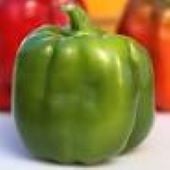 Emerald Giant Sweet Peppers SP25-20