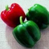 King of the North Sweet Peppers SP39-20