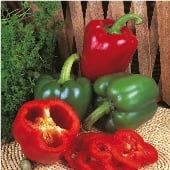 ToM - Tomato Mosaic Virus Resistant Sweet Peppers