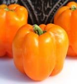 Orange King Sweet Peppers  SP112-10