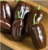 Sweet Chocolate Peppers SP196-20