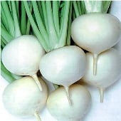 Turnip, Turnips, Turnip Seeds