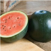 Ice Box Size Watermelons