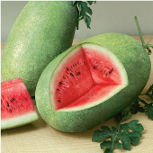 Pink Flesh Watermelons