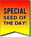 Special Seed of the Day