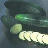 Olympian Cucumbers CU107-20