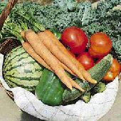 Vegetables Alive Organic Fertilizer FZ12