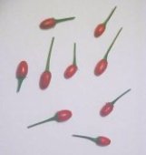 Chaco Hot Peppers (Red) HP871-10_Base