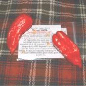Dorset Naga Hot Peppers (Red) HP1939-5