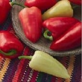 Mariachi Hot Peppers HP1856-10