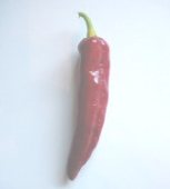 Papri Paprika Hot Peppers HP264-20_Base