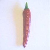 Punjab Small Hot Peppers HP192-20_Base