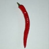 Szechuan Hot Peppers HP628-20
