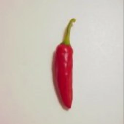 Aji Dulce Hot Peppers (Strain 4) HP1482-10