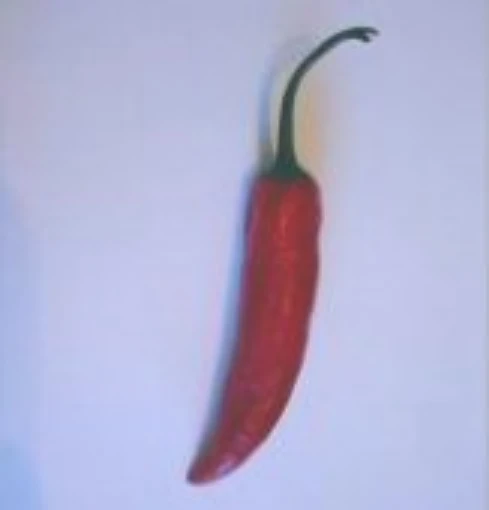 Aji Escabeche Hot Peppers HP7-10