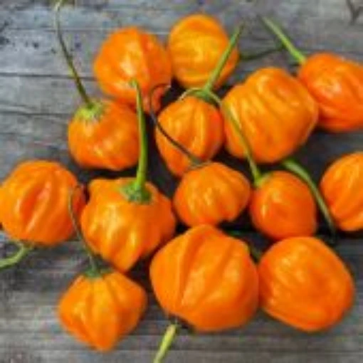 Aji Dulce Orange Pepper Seeds