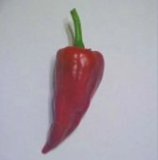 Alcalde Hot Peppers HP1093-10