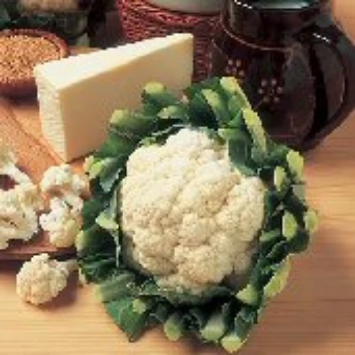 All The Year Round Cauliflower CF4-50