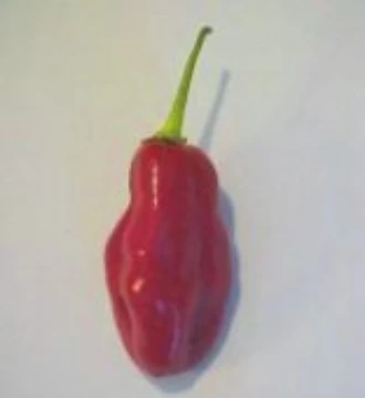 Amazon Bomb Pepper Seeds