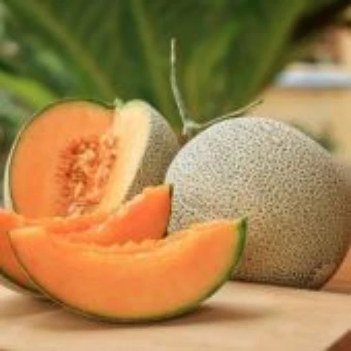 Ambrosia Melons CA24-10