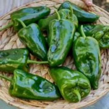 Ancho Pepper Seeds