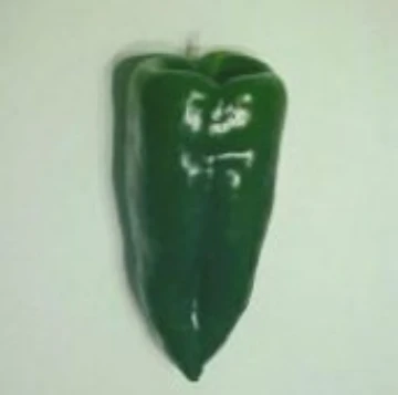 Ancho Mexican Large Pepper Seeds