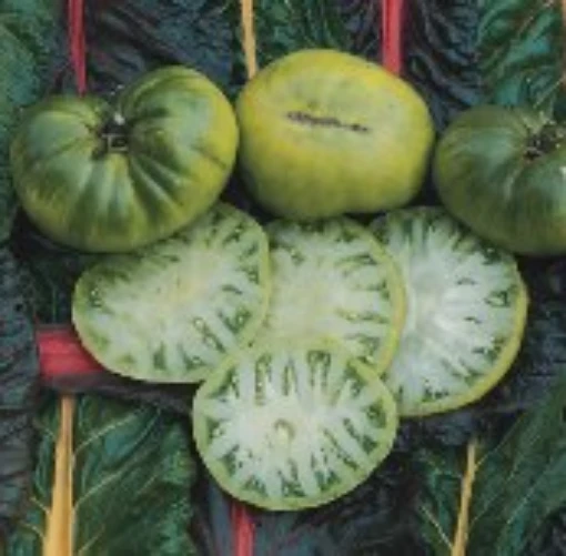 Aunt Ruby's German Green Tomato TM6-20