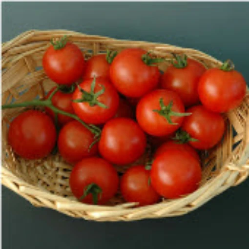 Baby Cakes Tomato TM418-10