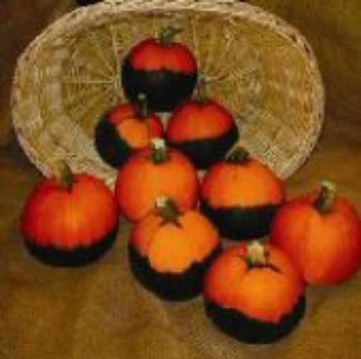 Batwing Pumpkins PM33-10