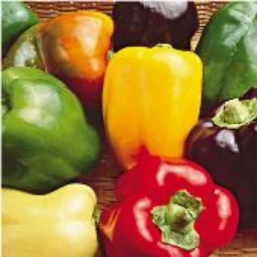 Sweet Bell Mix Peppers SP236-20_Base