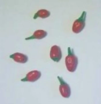 Bird Dung Pepper Seeds